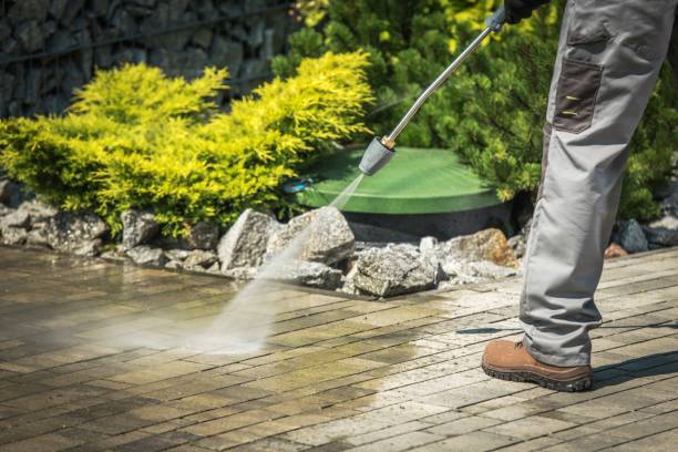 Best Spring Cleaning  in Alexandria Bay, NY